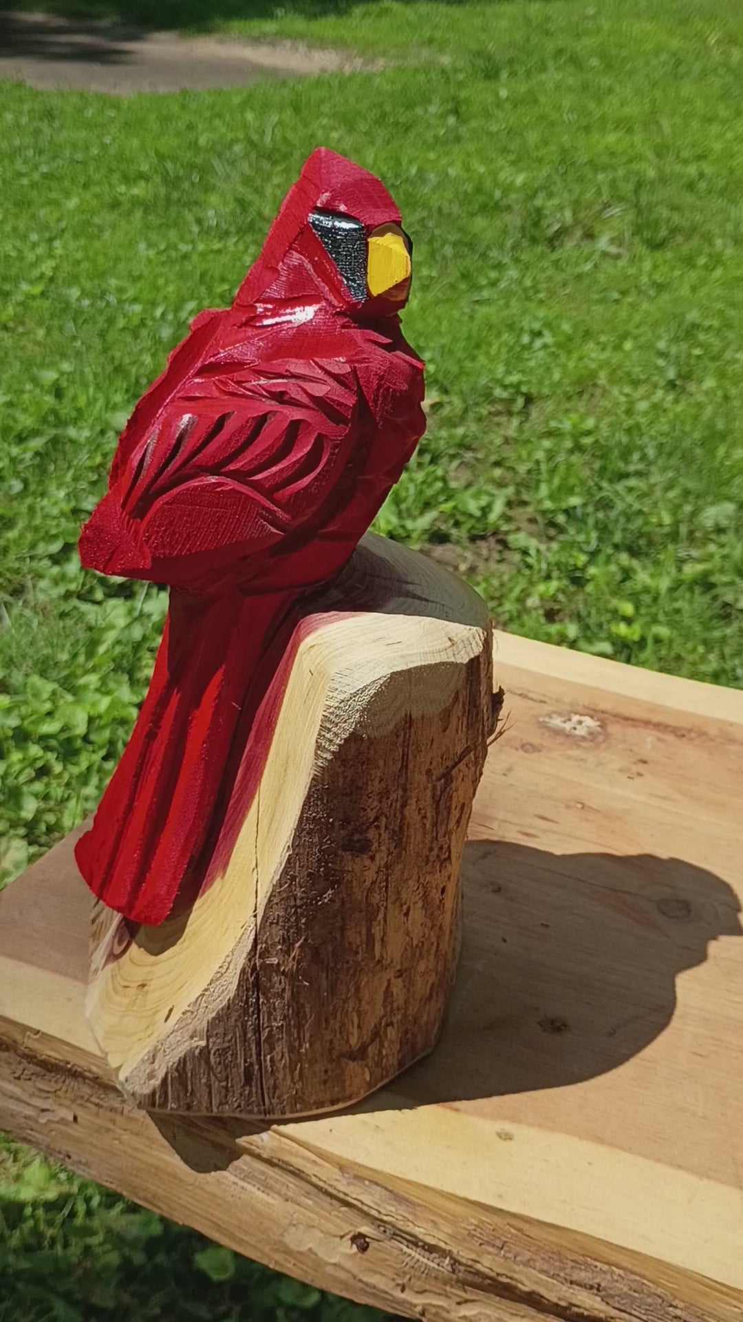 10" Signature Cardinal