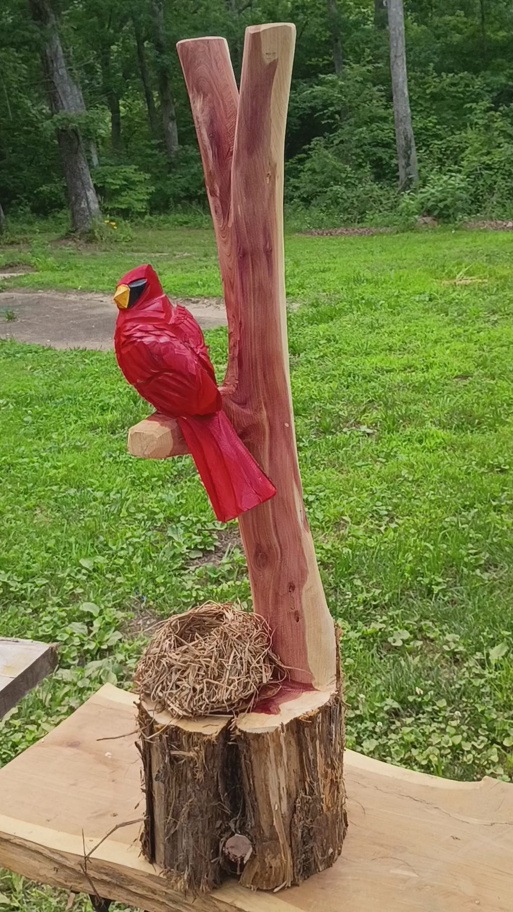 Cardinal and Family Nest