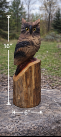 16" Signature Owl