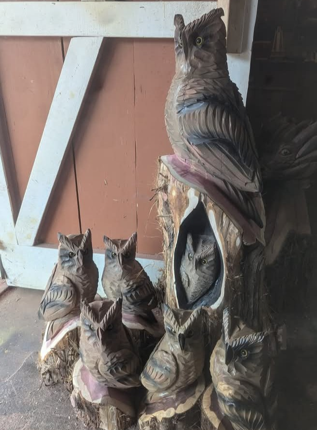 16" Hoot & Holler (pair)