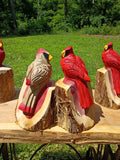 10" Cardinal Couple