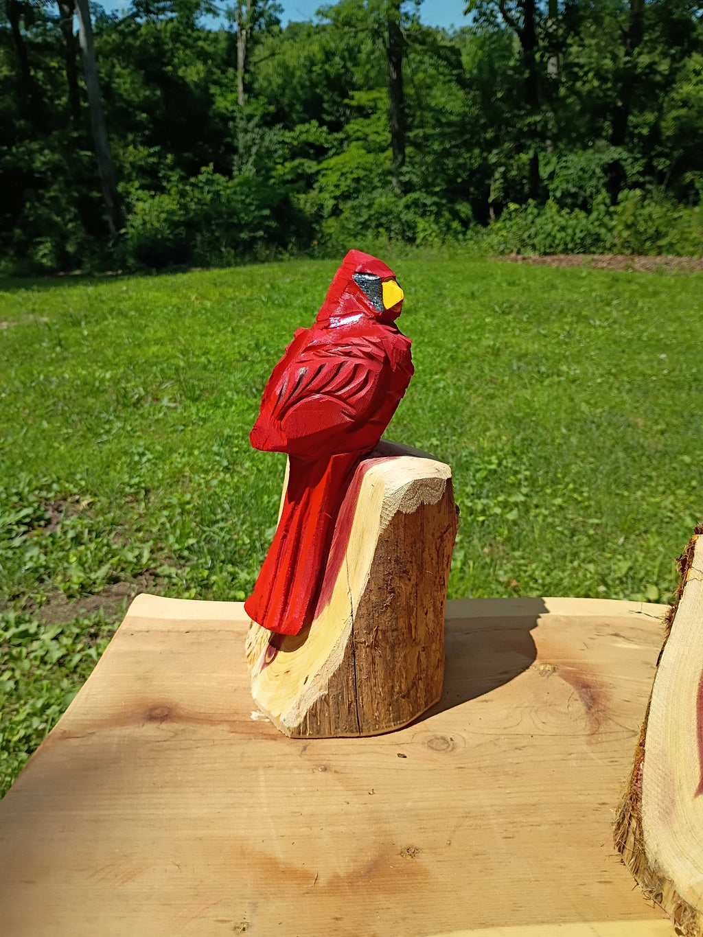 10" Signature Cardinal