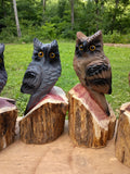 12" Hoot and Holler Couple