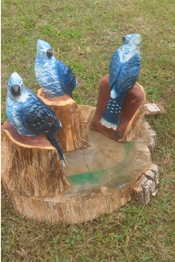 Blue Jay Couple (pair)