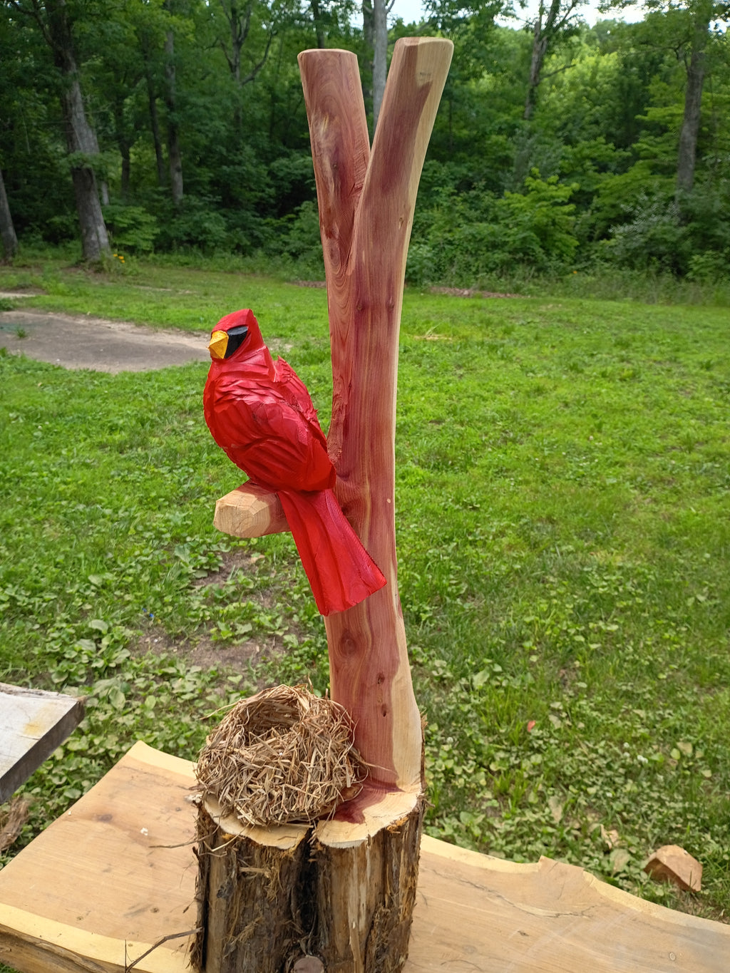 Cardinal and Family Nest
