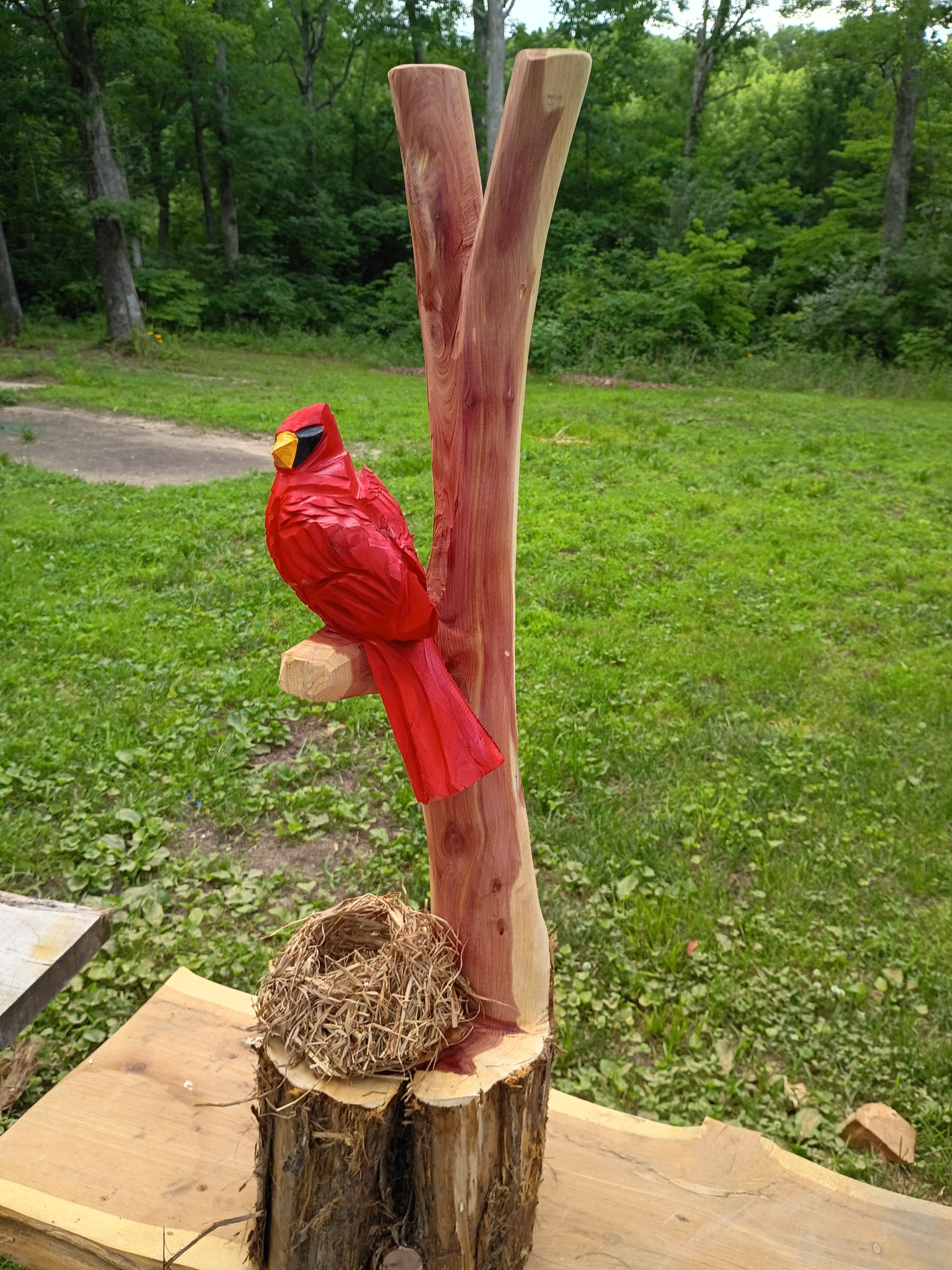Cardinal and Family Nest
