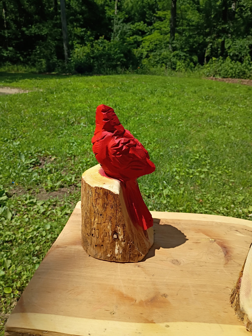10" Signature Cardinal