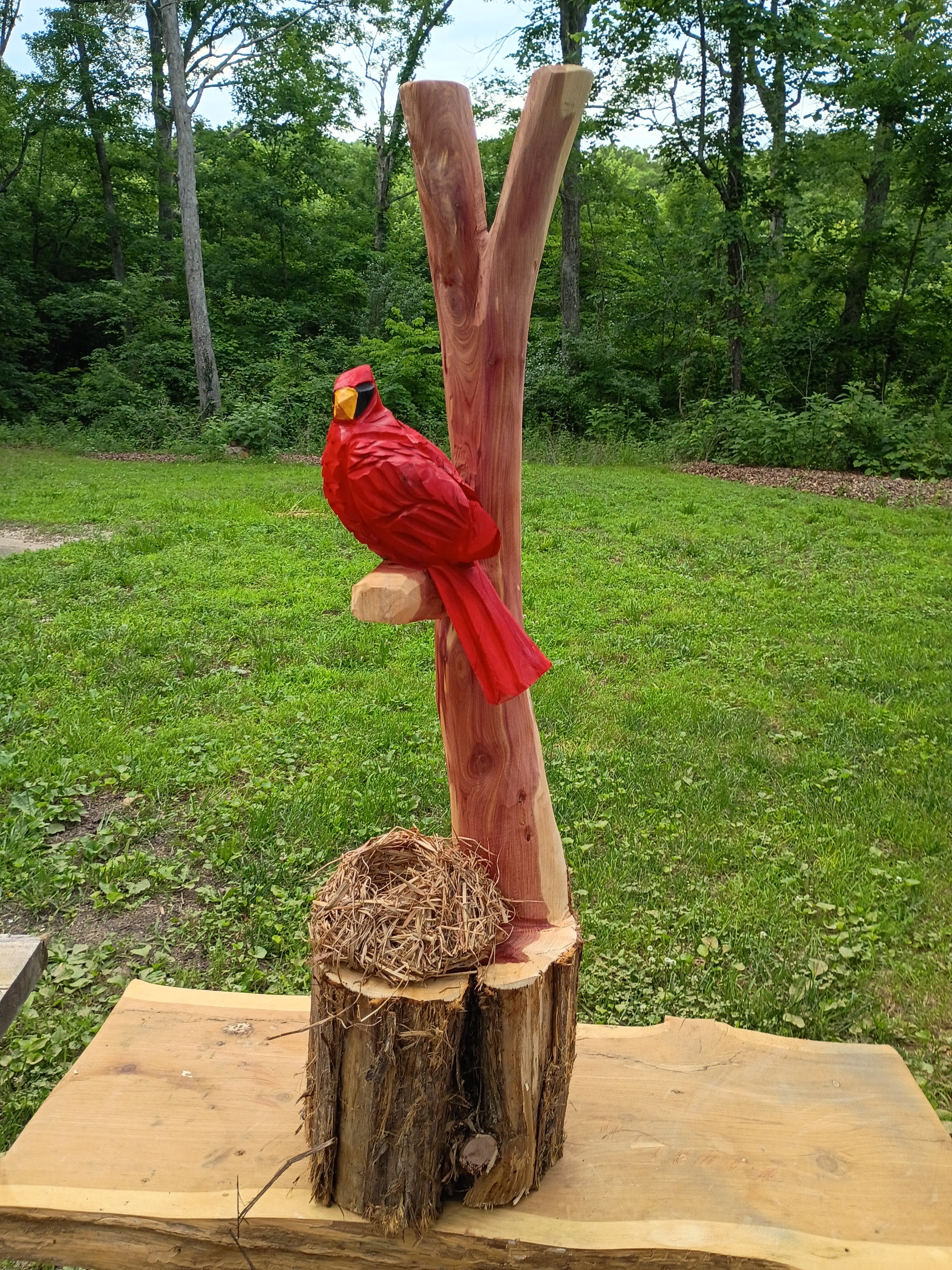 Cardinal and Family Nest