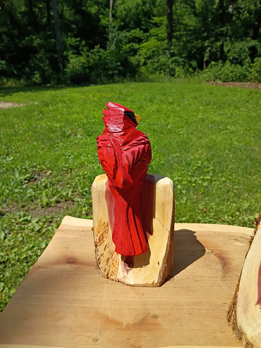 10" Signature Cardinal